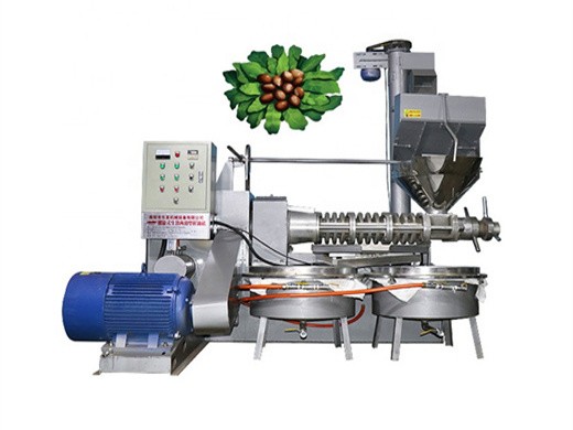 automatic screw oil extraction machine to produce