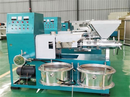 2023 new design automatic peanut machine to make edible oil