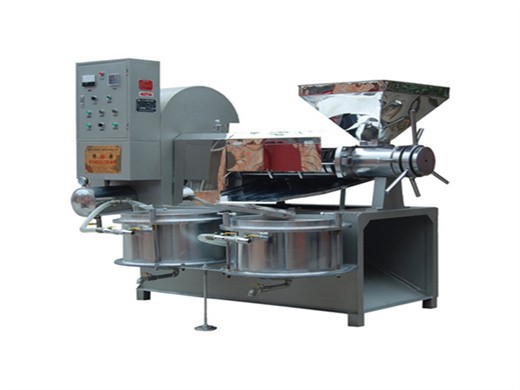 high quality peanut oil press machine/rapeseed oil press