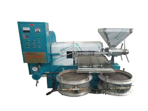 automatic stainless steel small commercial oil press machine