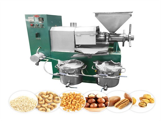 automatic black seed corn germ oil press machine for sale