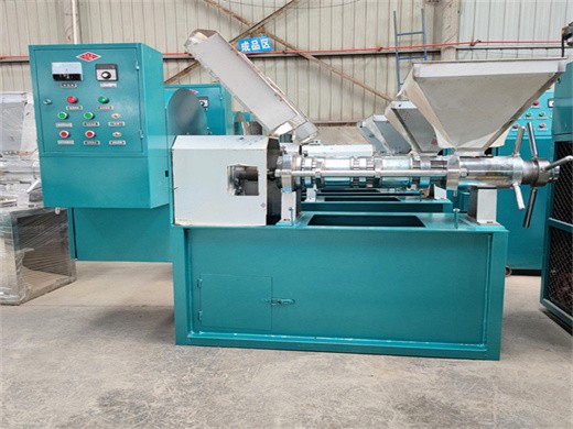 200kg/h sunflower hydraulic oil press machine Nigeria