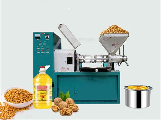 big castor oil groundnut pressing machine Egypt