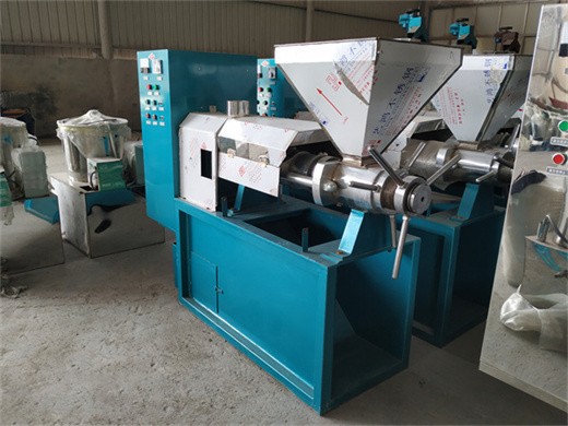 automatic standard coconut oil extraction machine Egypt