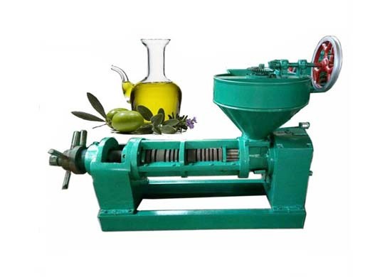 top quality screw cold oil press with competitive price