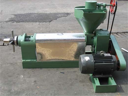 soybean oil extraction machines price oil making machine