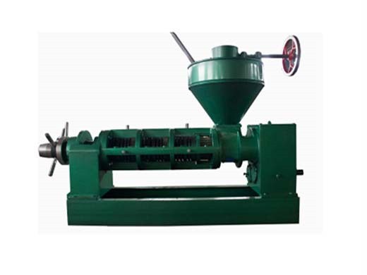 1-3tpd rajkumar commercial model oil press in Pakistan