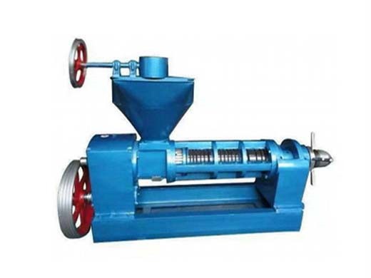 hot sale hydraulic automatic extraction seed oil press