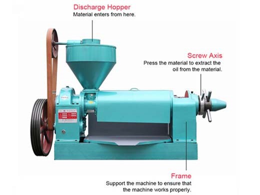 carbon steel biodiesel coconut oil press machine Guinea