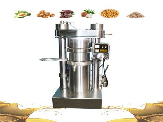 new model hydraulic oil press machine/oil press for sale