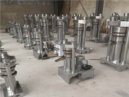 widely using big sunflower screw oil press/cooking in Cameroon