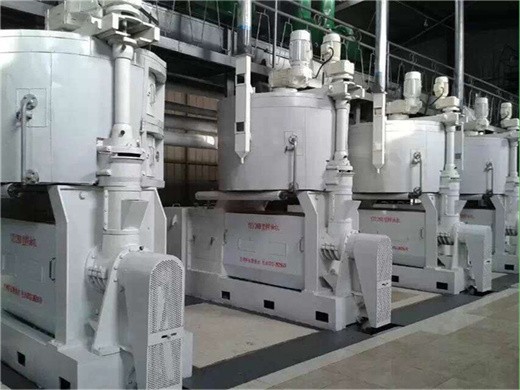 cold press oil maker machinery capacity: 300 kg/h France