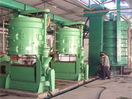 1-3tpd castor bean oil press machine Vietnam