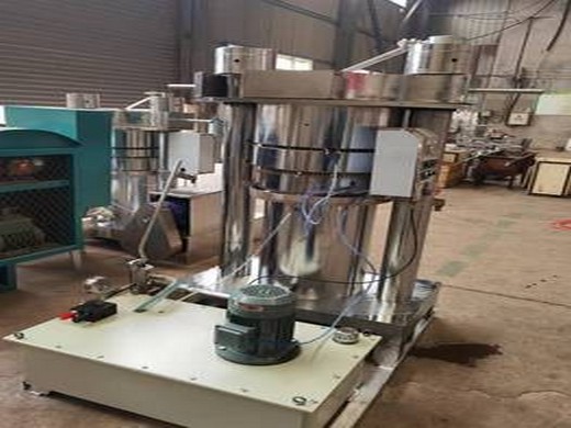 2023 big small coconut oil machine in Zambia