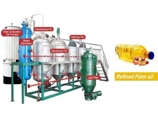 palm fruit oil press production line 15kg Mexico