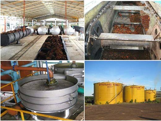 palm kernel oil expeller with high quality in Tanzania