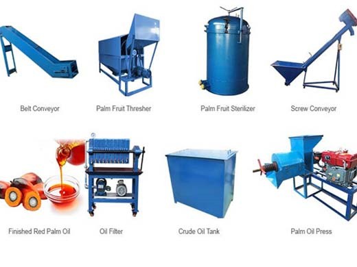 palm kernel oil production plant for palm oil extraction