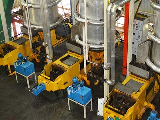 palm kernel oil processing machine/sunflower Yemen