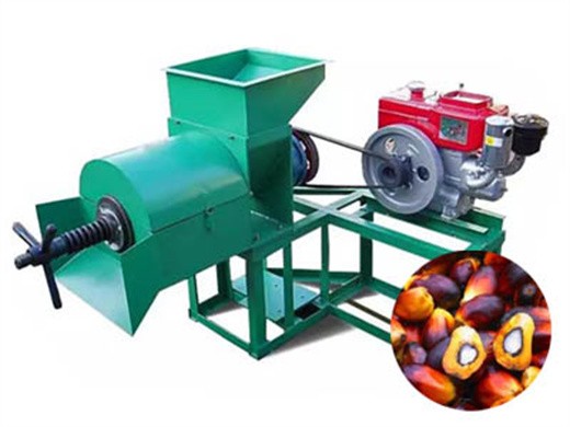 palm expeller seed oil extraction hydraulic press in Bangladesh