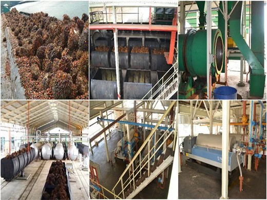 from new production palm oil extraction making Africa