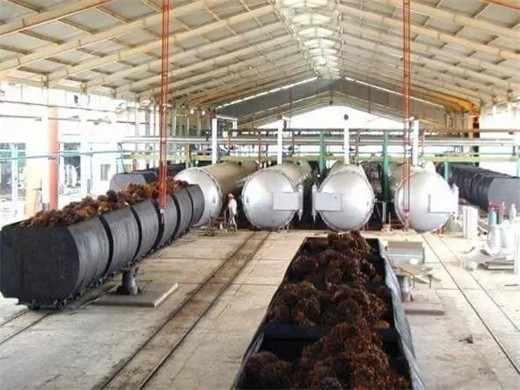 mpob peers in producing machineries of palm oil Brazil