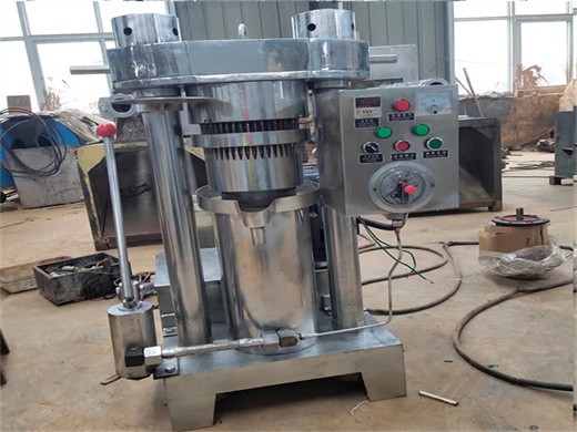 100kg/h peanut sesame oil refinery machine in Ghana