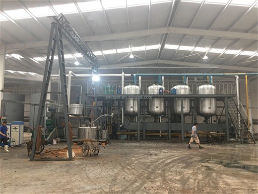 200kg/h palm oil refining machine in Tanzania