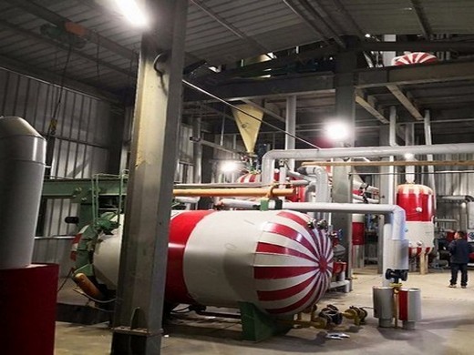 1tph combine peanut oil production line in South Africa