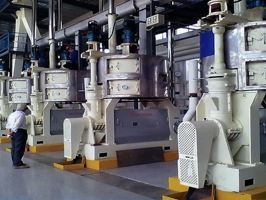 1tph sunflower oil production plant in India