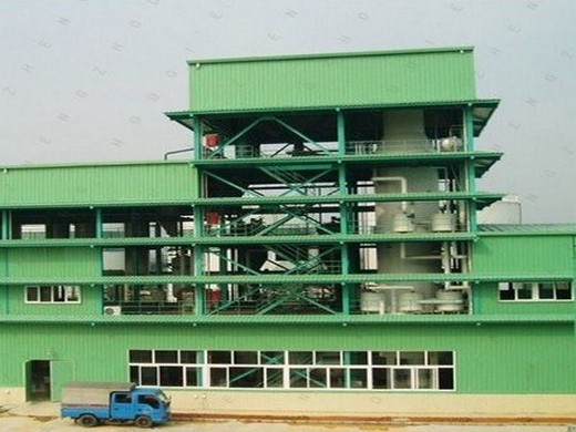 2023 energy saving commercial use small canola oil production line