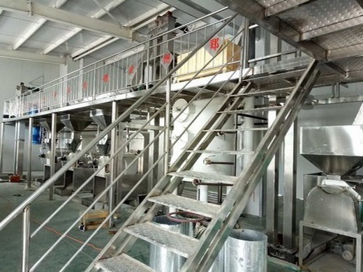 sesame seed oil processing – edible oil production plant