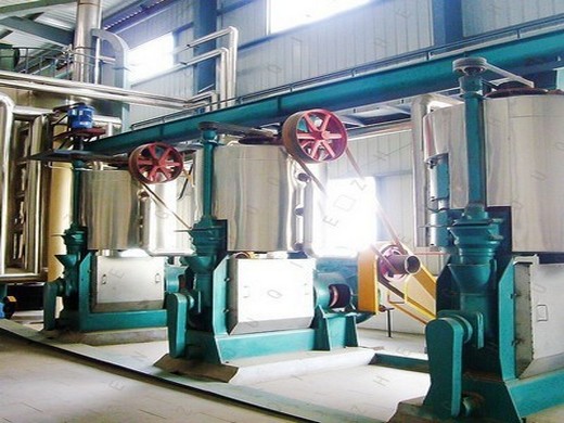 big commercial oil press production line in Ethiopia