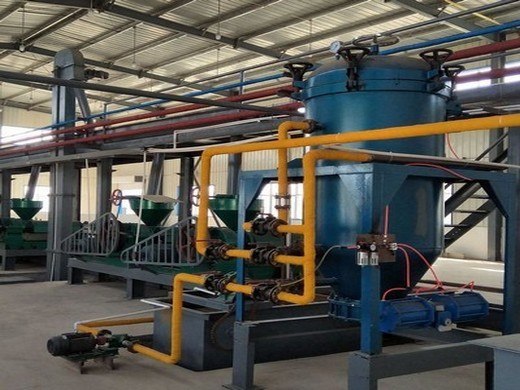 peanut oil production line cold pressed soybean oil machine