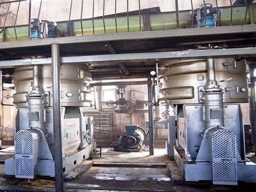 big capacity camellia rapeseed oil production line oil extractor