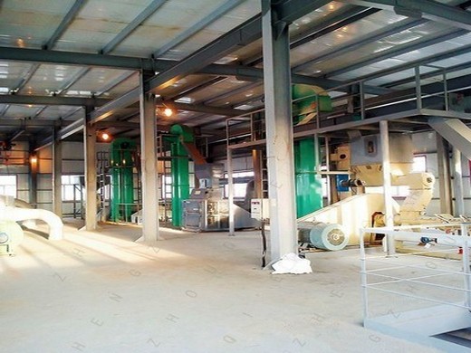 300-500kg/per hour screw oil production line in Cote d'Ivoire