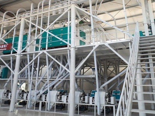 100kg/h oil extraction plant cold pressed in Malawi